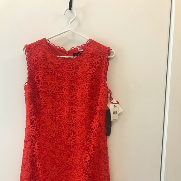 Cynthia Steffe Dress SZ 2 - Picture 3 of 7